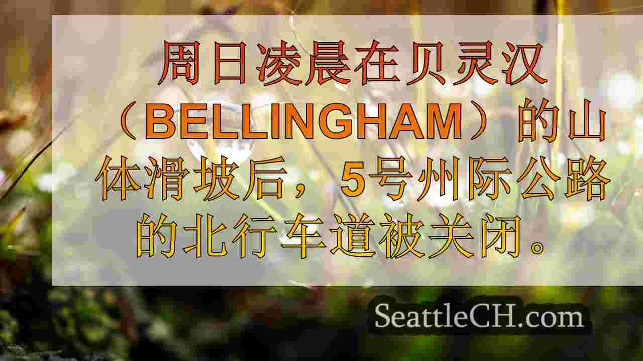 西雅图新闻 SeattleCH
