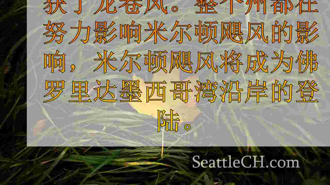 西雅图新闻 SeattleCH