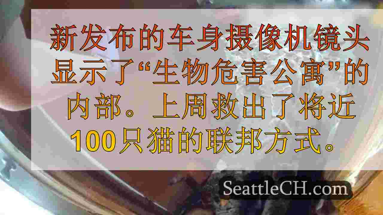 西雅图新闻 SeattleCH
