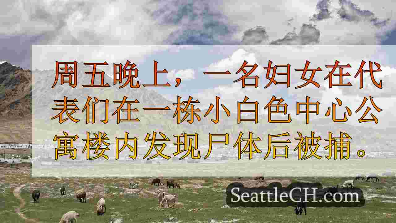 西雅图新闻 SeattleCH