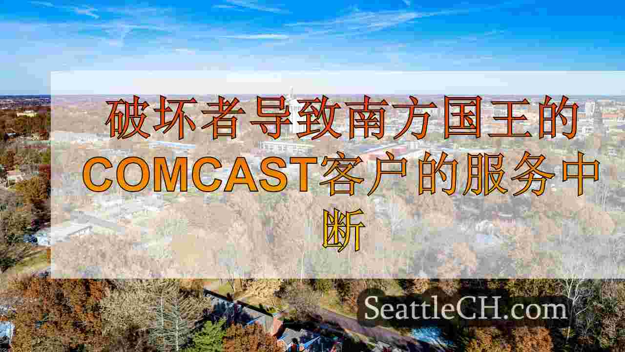 西雅图新闻 SeattleCH