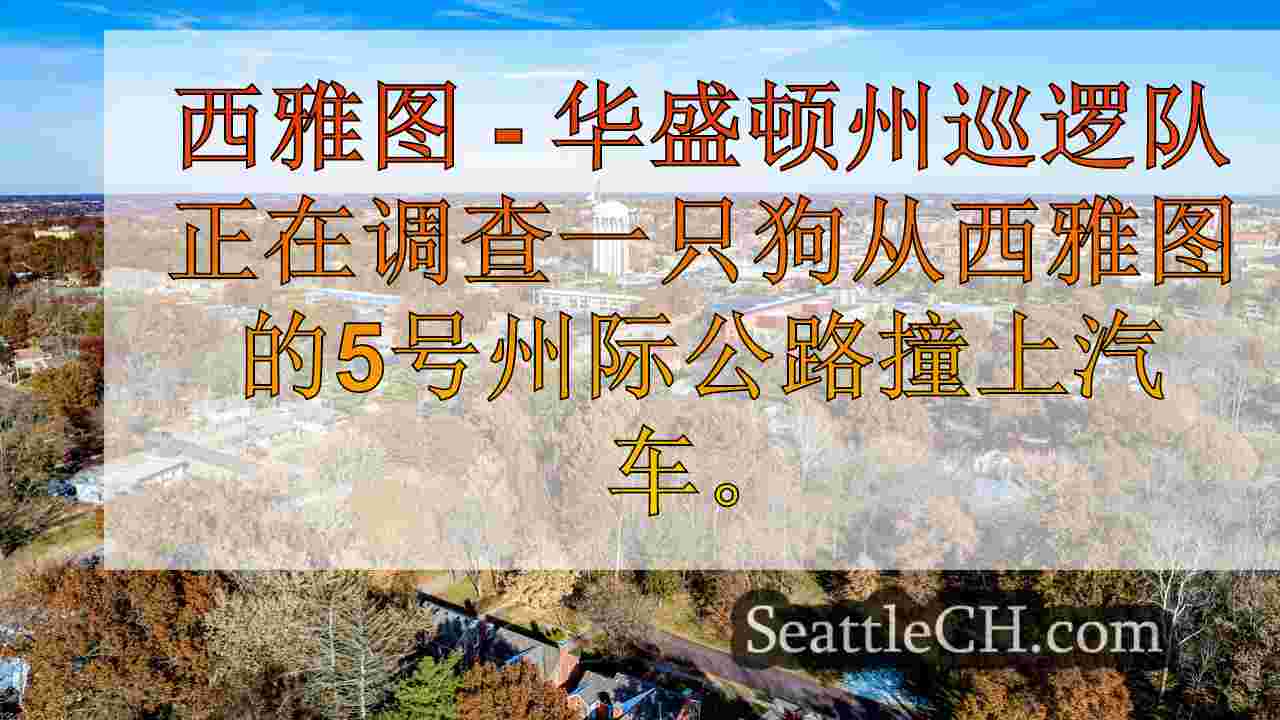 西雅图新闻 SeattleCH