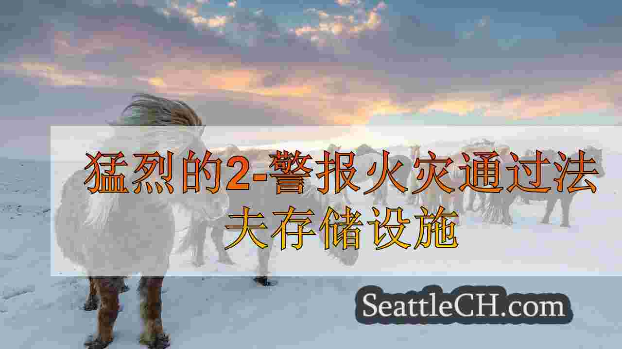 西雅图新闻 SeattleCH