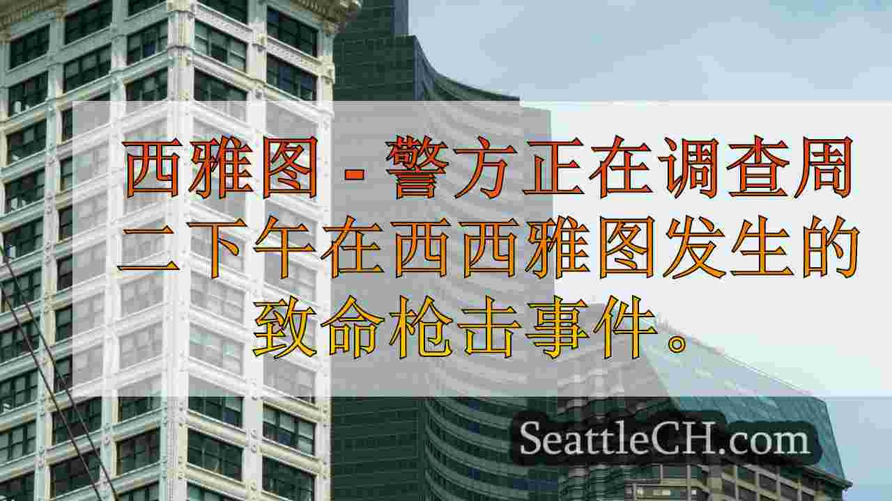 西雅图新闻 SeattleCH