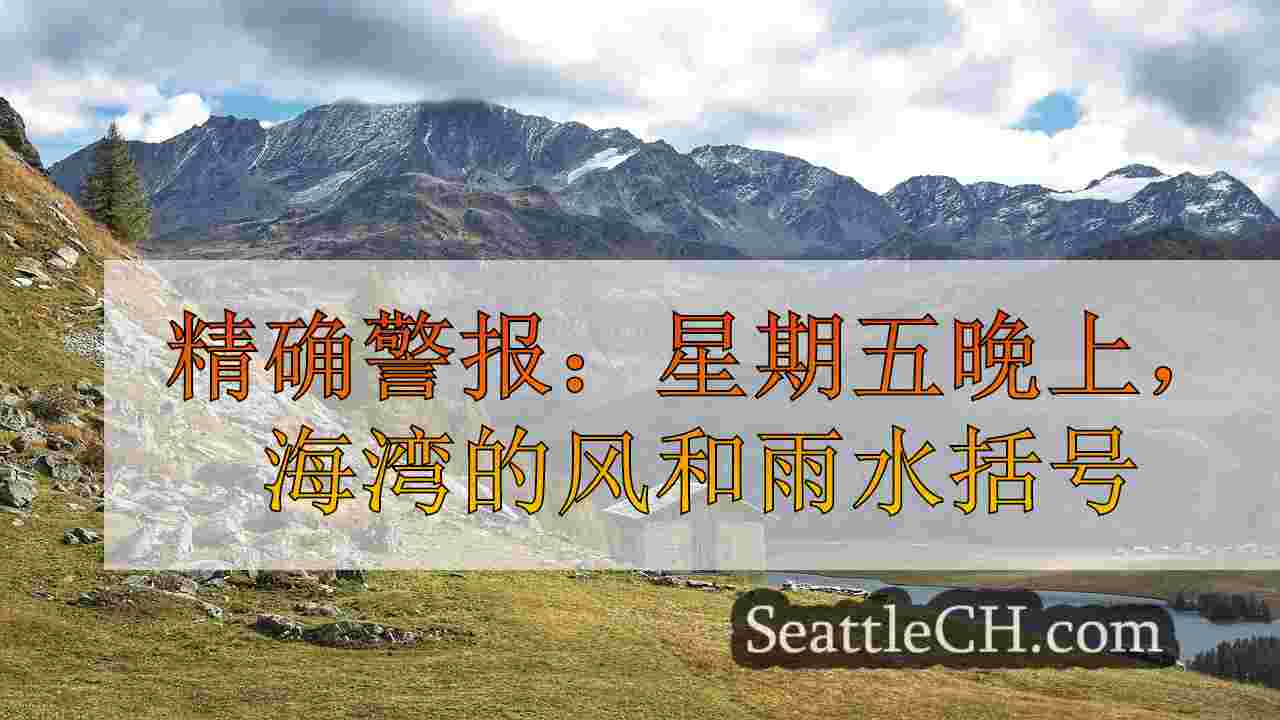 西雅图新闻 SeattleCH