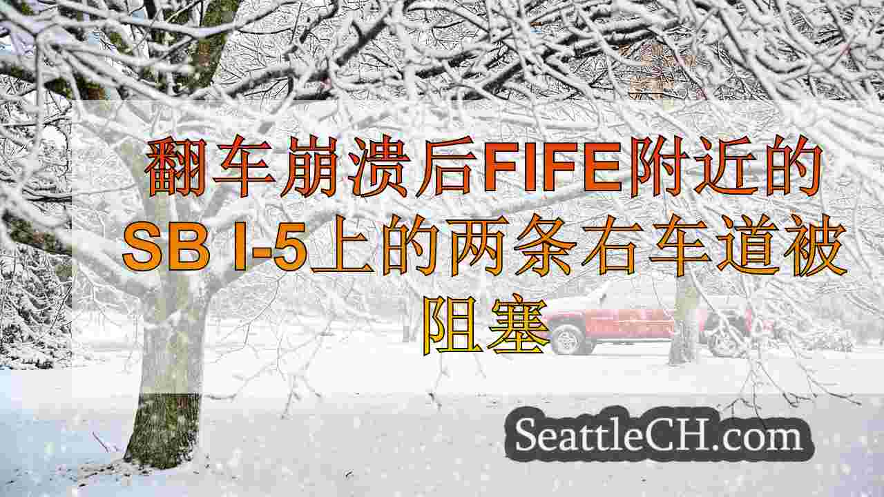西雅图新闻 SeattleCH