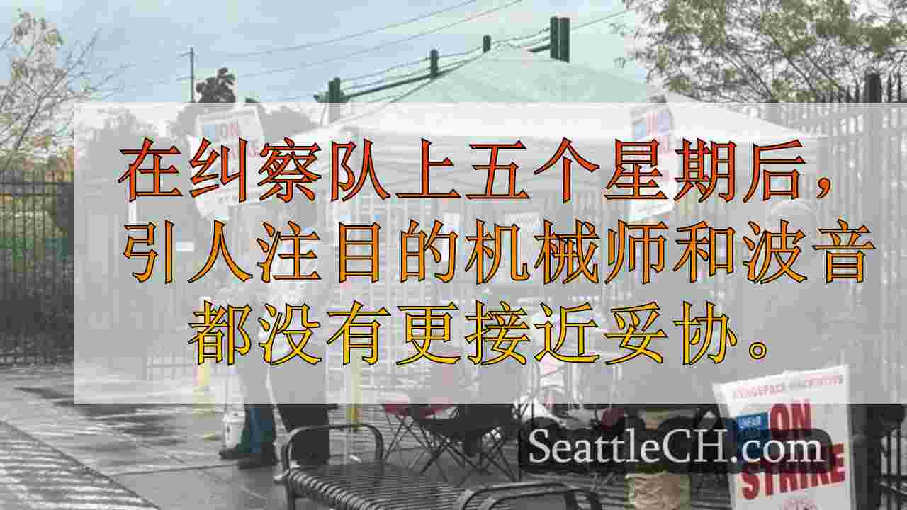 西雅图新闻 SeattleCH