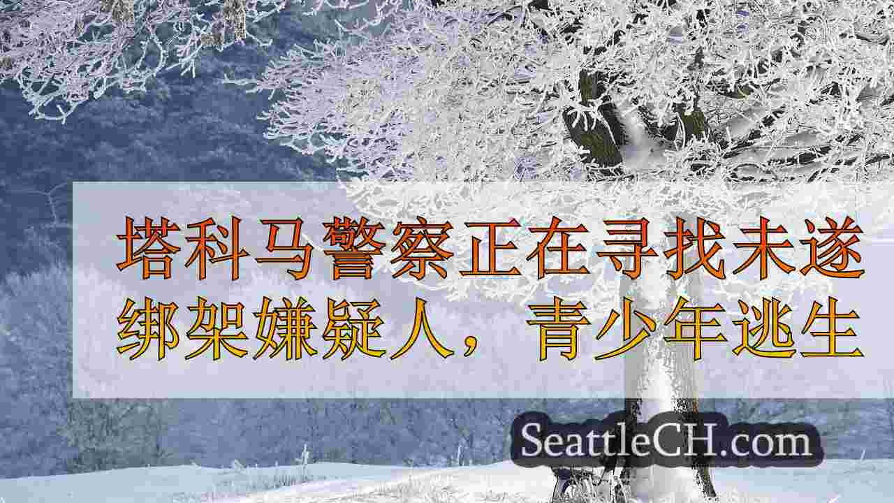 西雅图新闻 SeattleCH