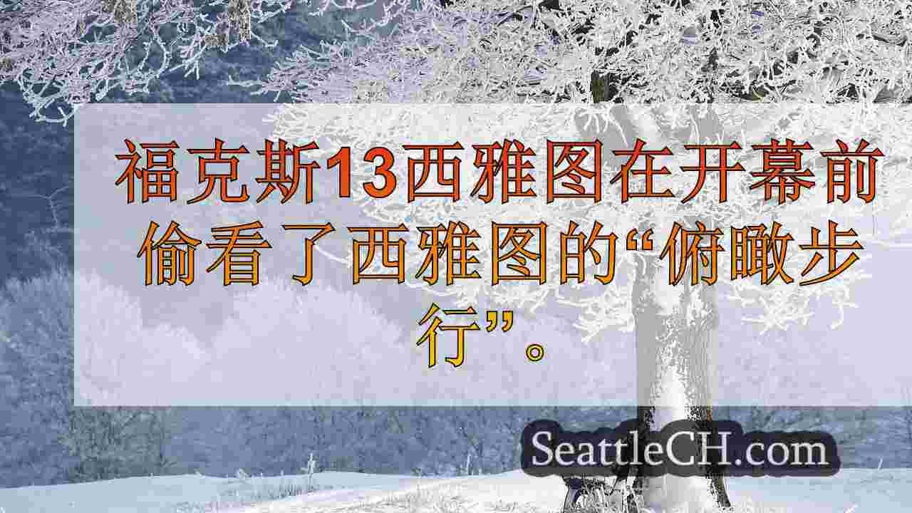 西雅图新闻 SeattleCH