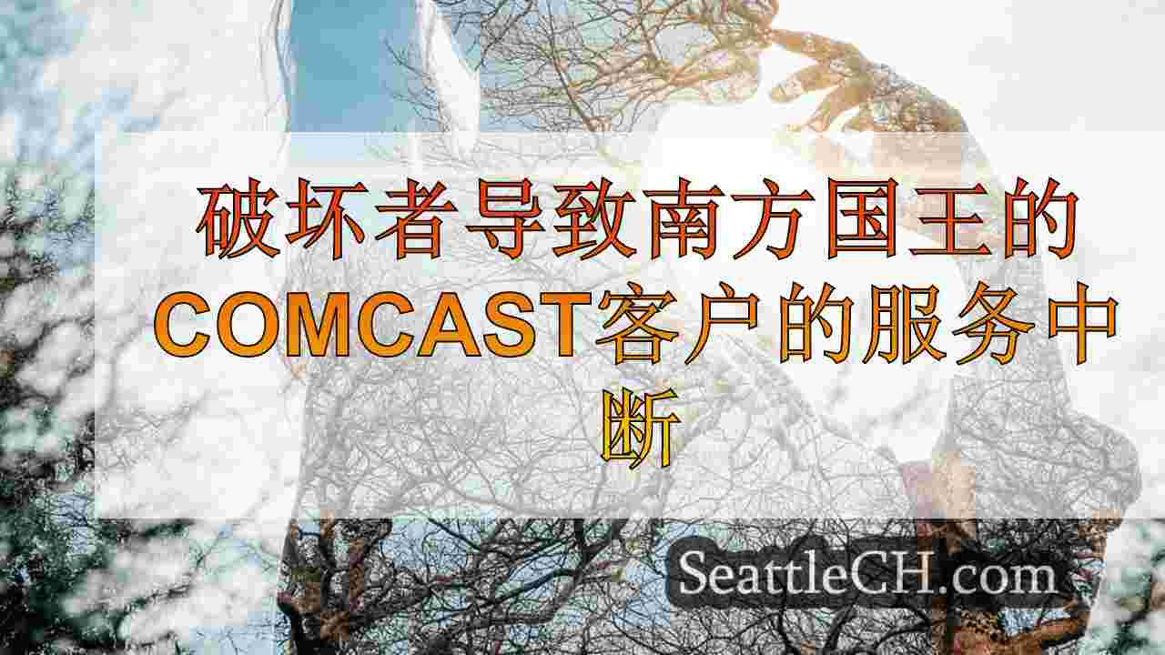 西雅图新闻 SeattleCH
