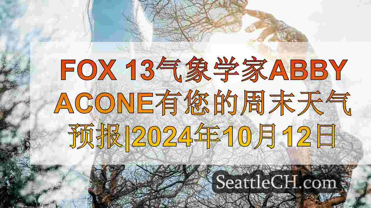 西雅图新闻 SeattleCH