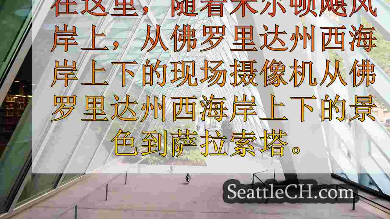 西雅图新闻 SeattleCH