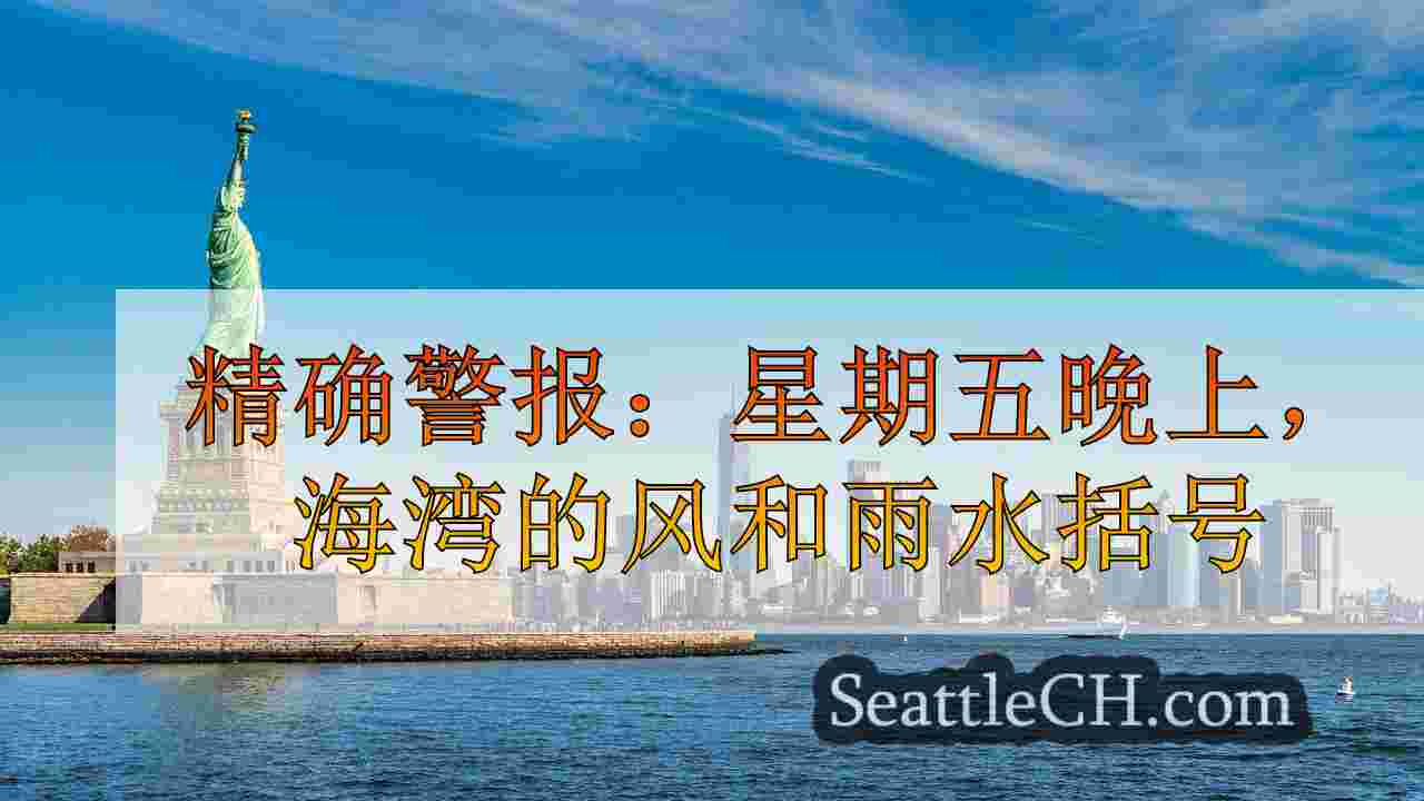 西雅图新闻 SeattleCH