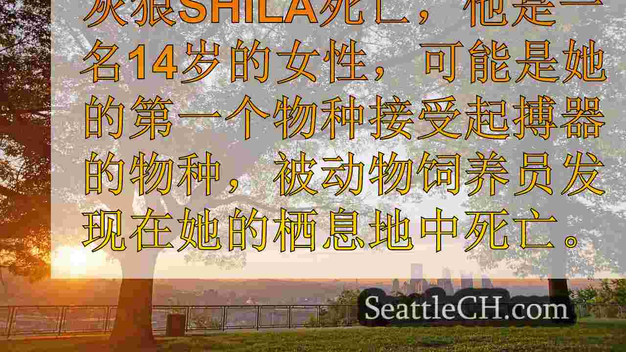 西雅图新闻 SeattleCH