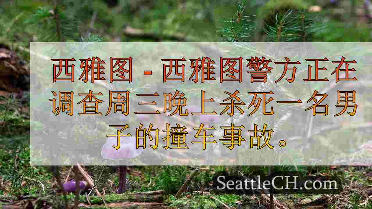 西雅图新闻 SeattleCH