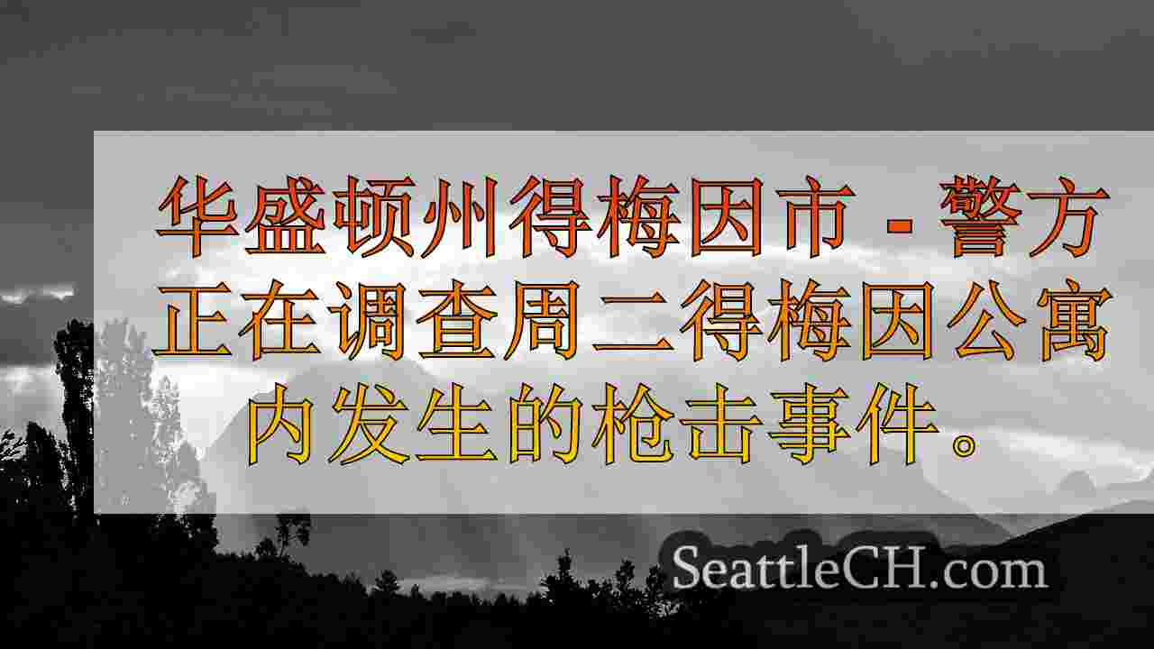西雅图新闻 SeattleCH