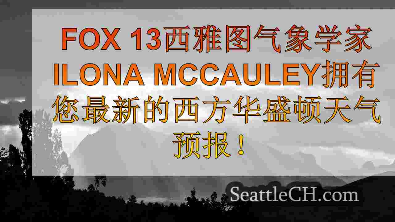 西雅图新闻 SeattleCH