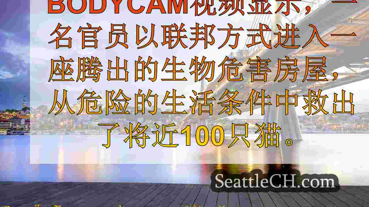 西雅图新闻 SeattleCH