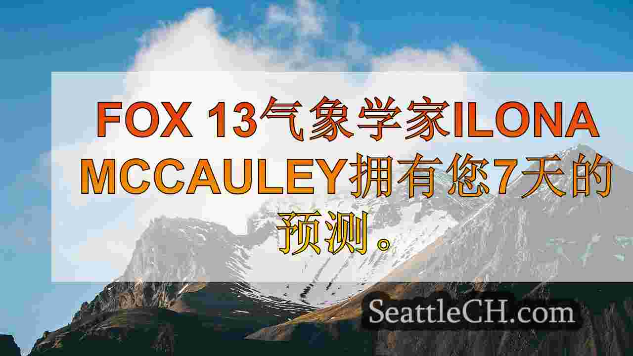 西雅图新闻 SeattleCH