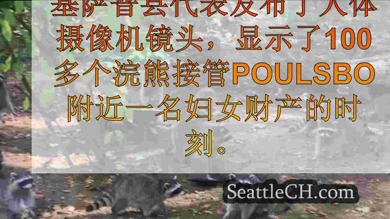 西雅图新闻 SeattleCH