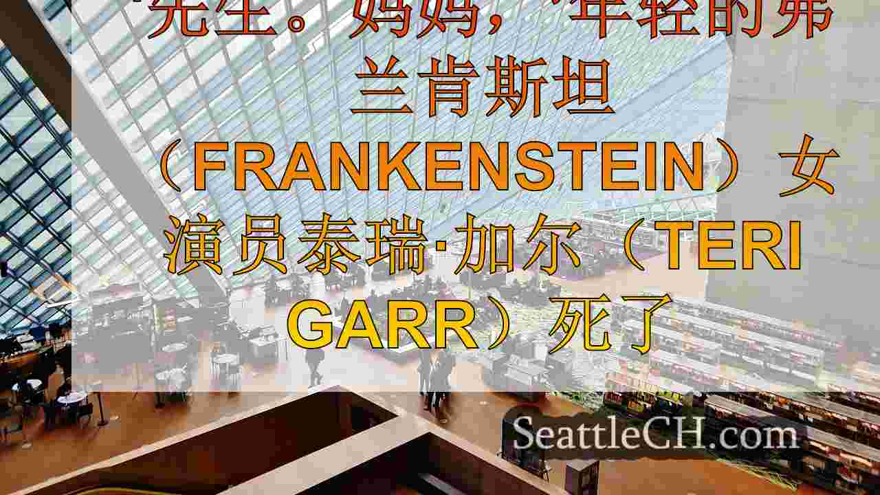 西雅图新闻 SeattleCH