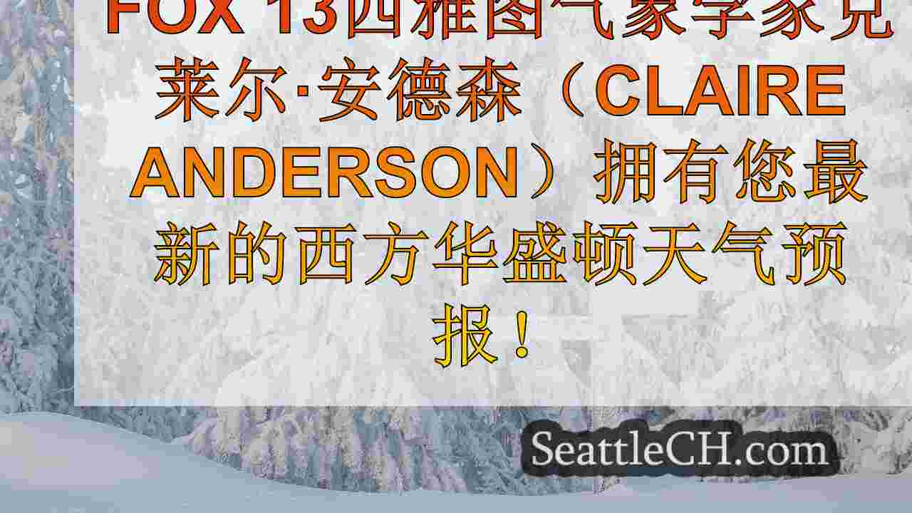 西雅图新闻 SeattleCH