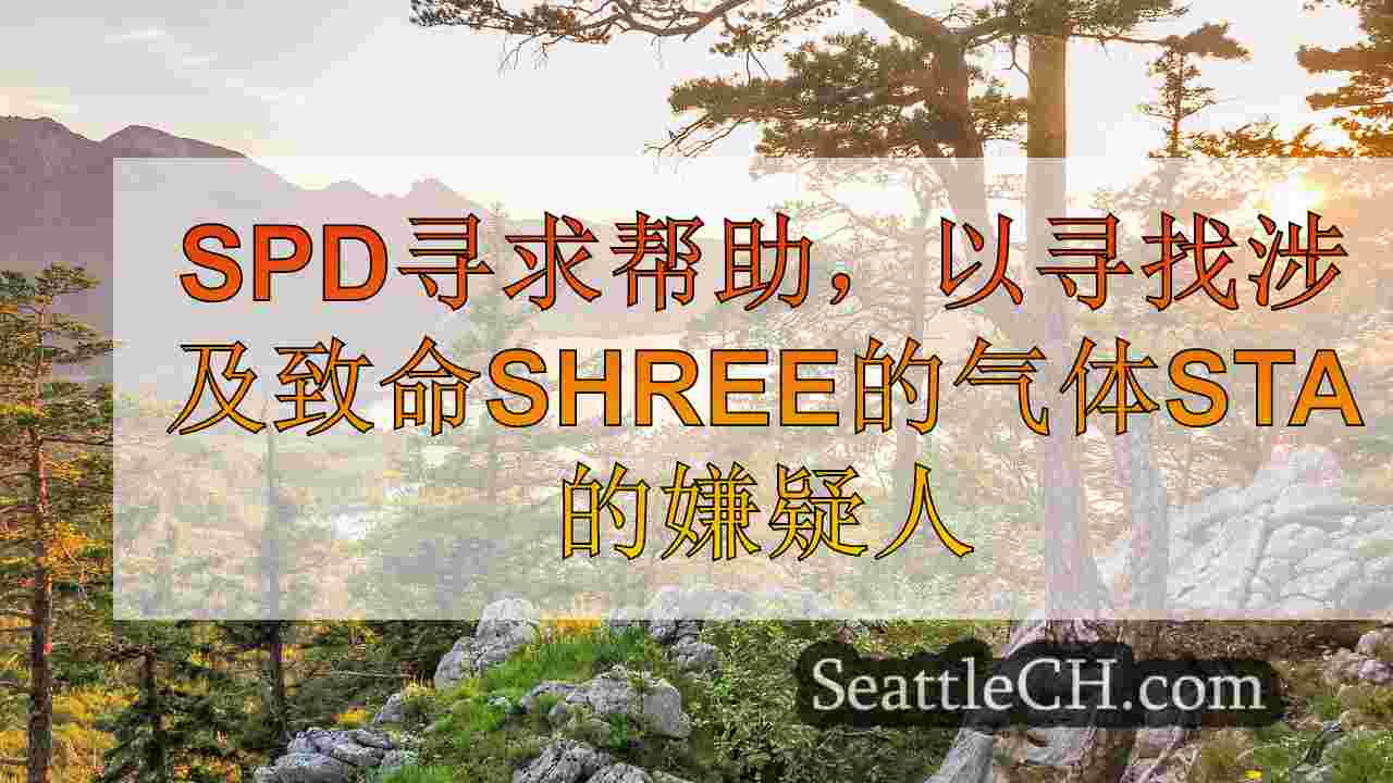 西雅图新闻 SeattleCH