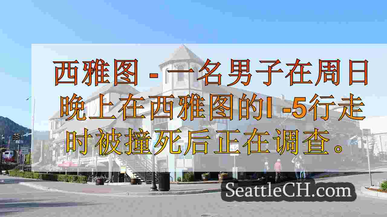 男人在西雅图在I-5上行走时被撞死