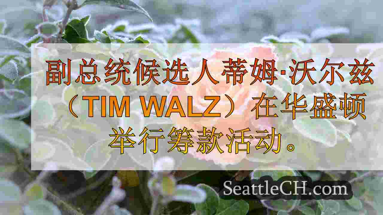 西雅图新闻 SeattleCH