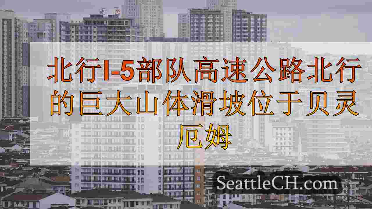 西雅图新闻 SeattleCH
