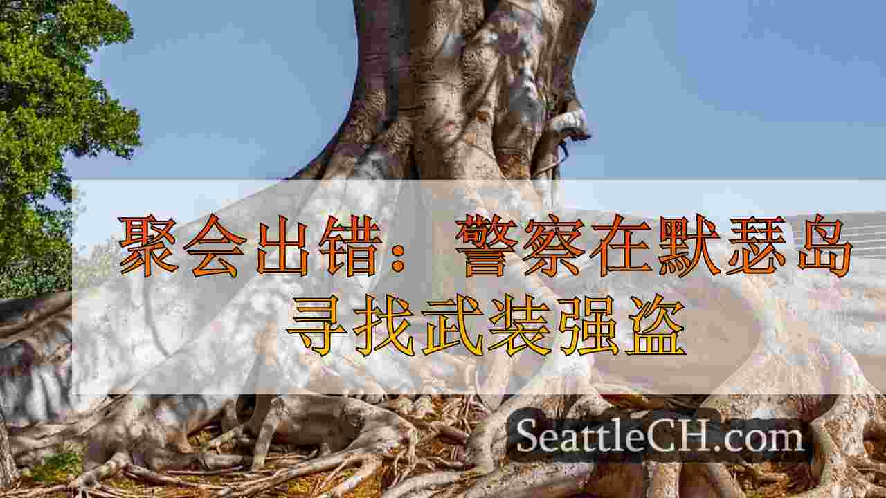 西雅图新闻 SeattleCH