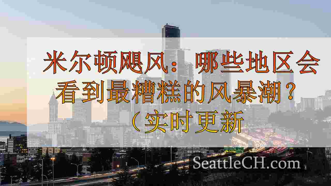 西雅图新闻 SeattleCH
