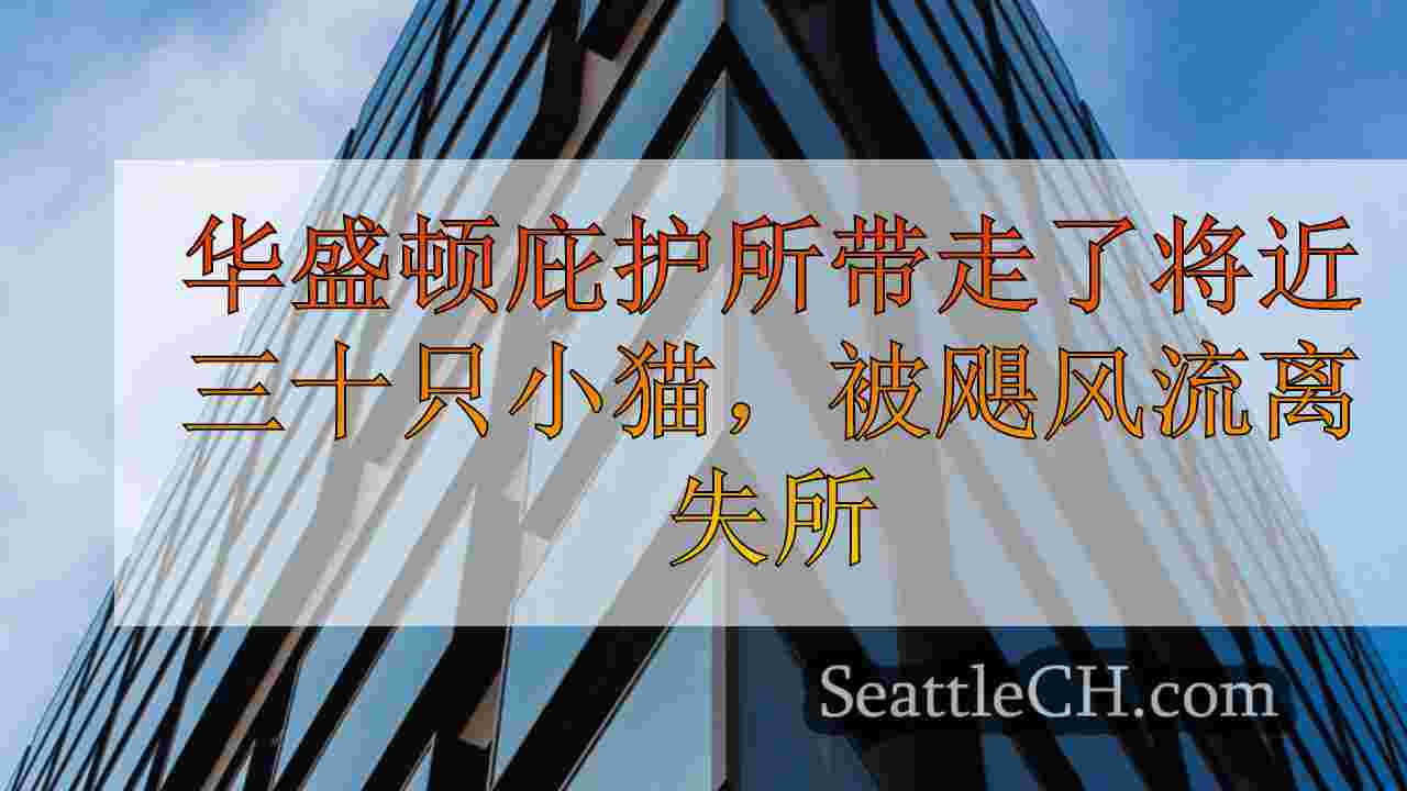 西雅图新闻 SeattleCH