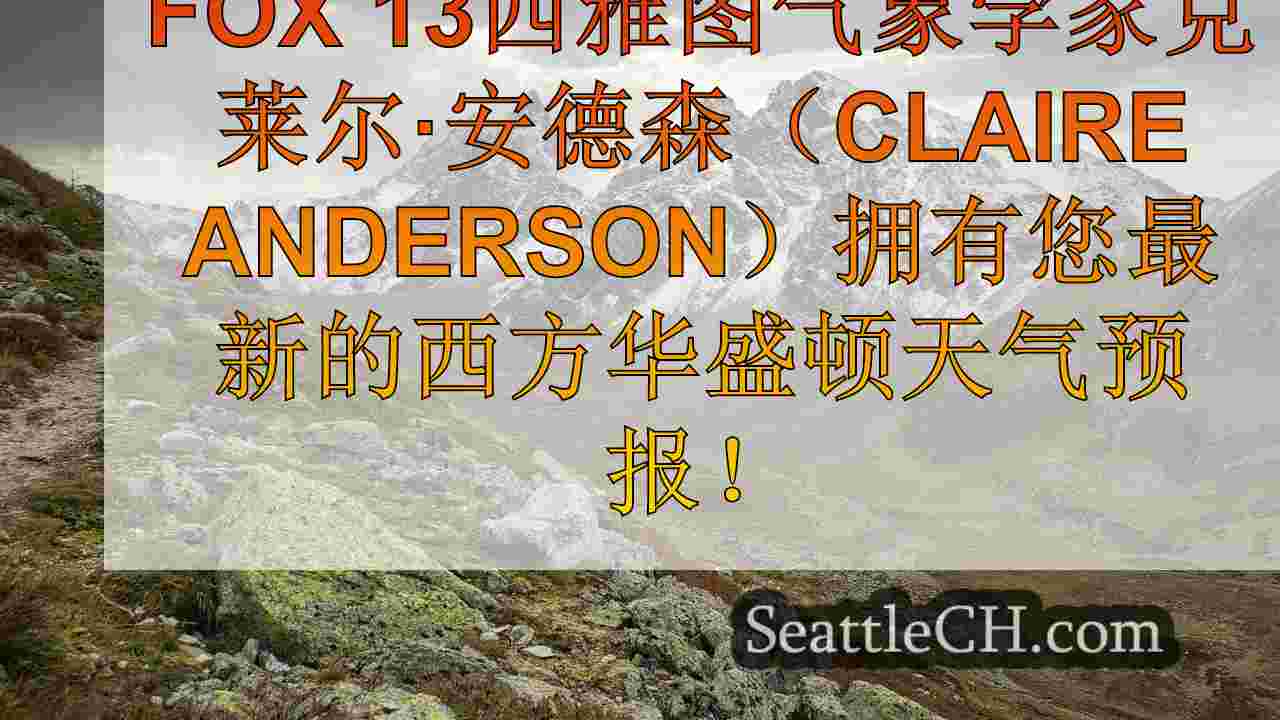 西雅图新闻 SeattleCH