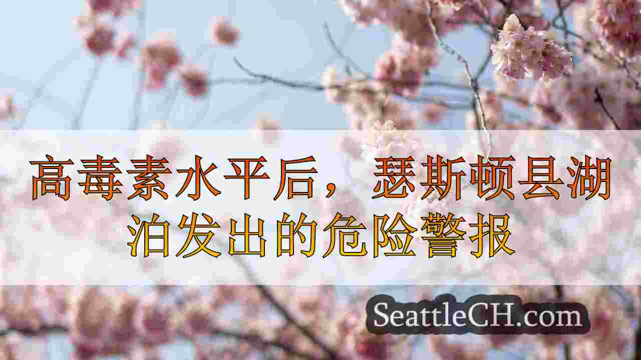 西雅图新闻 SeattleCH