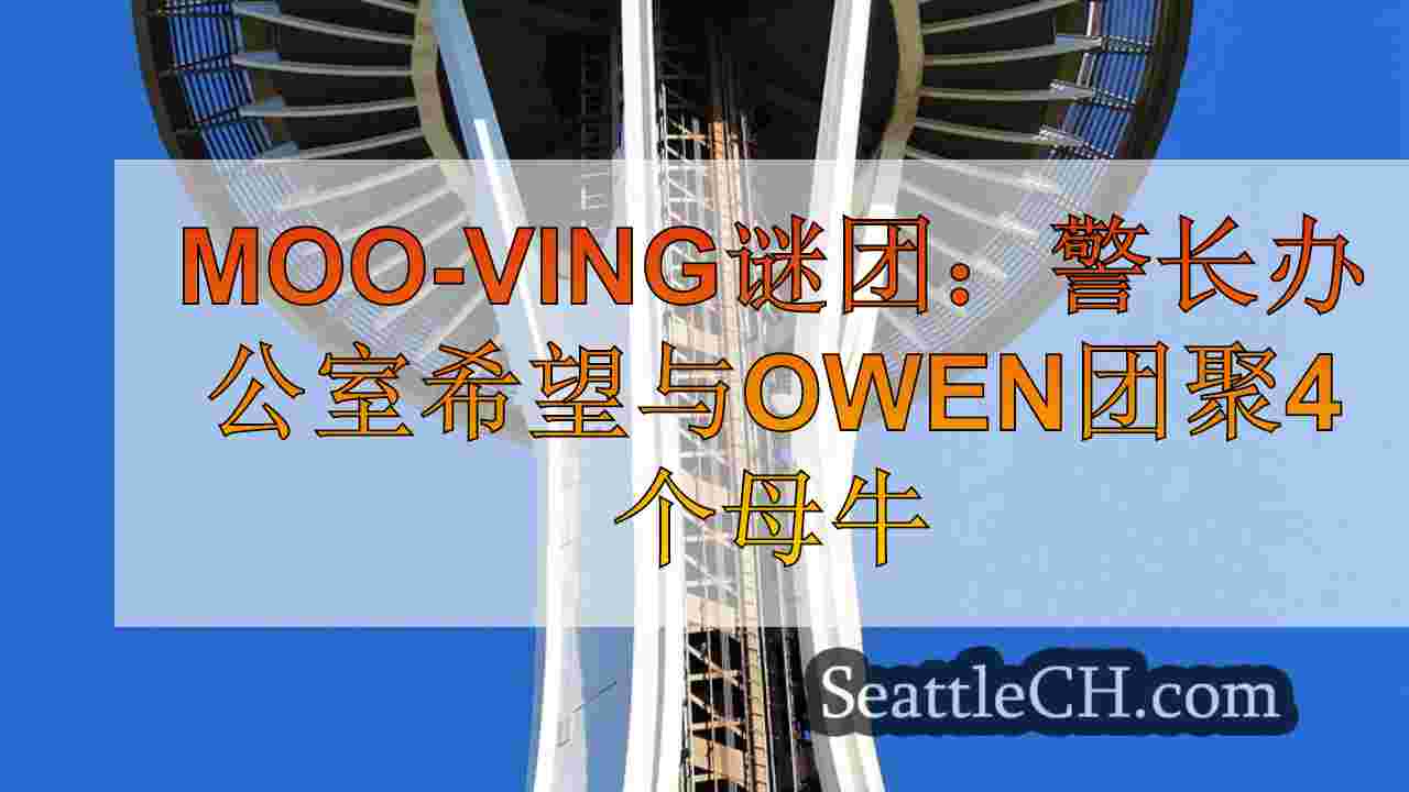 西雅图新闻 SeattleCH