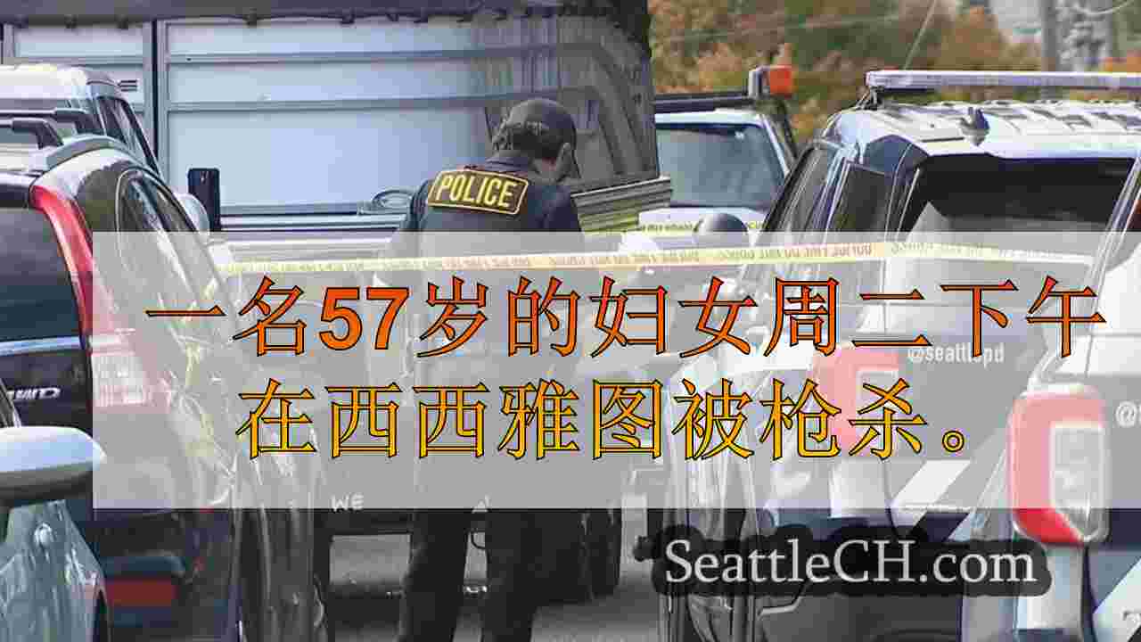 女人在西西雅图开枪杀死