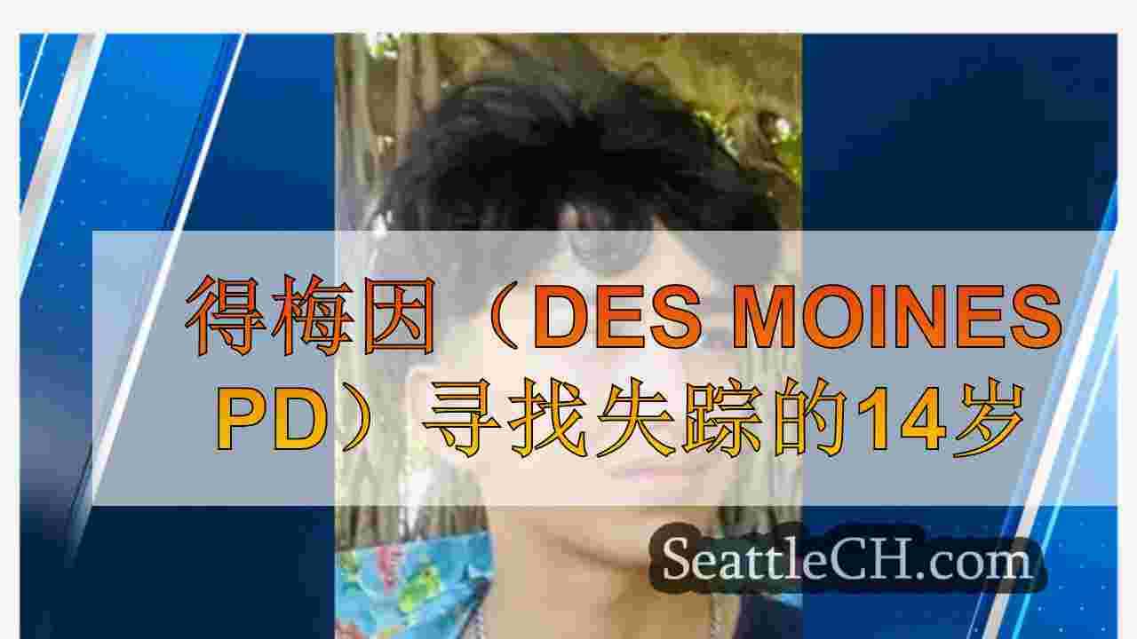 得梅因（Des Moines PD）寻找失踪的14岁