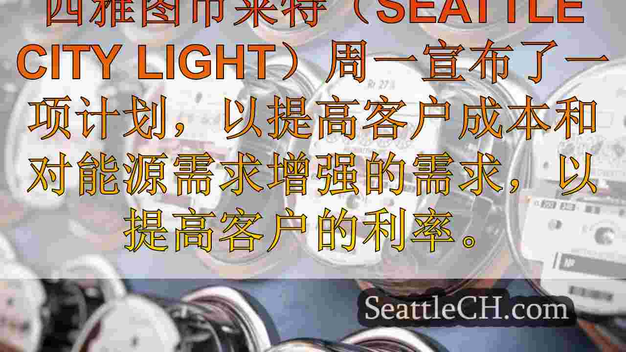 西雅图城市灯2025-2026增长率：期望什么