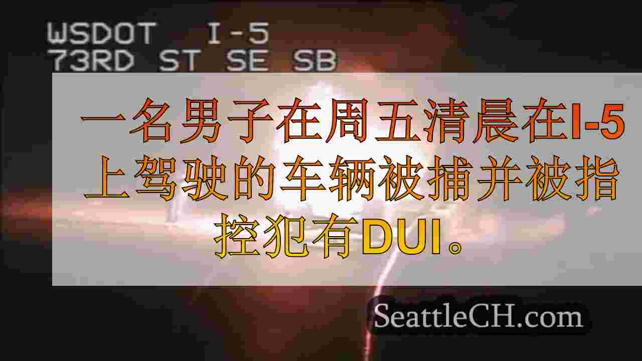 西雅图新闻 SeattleCH