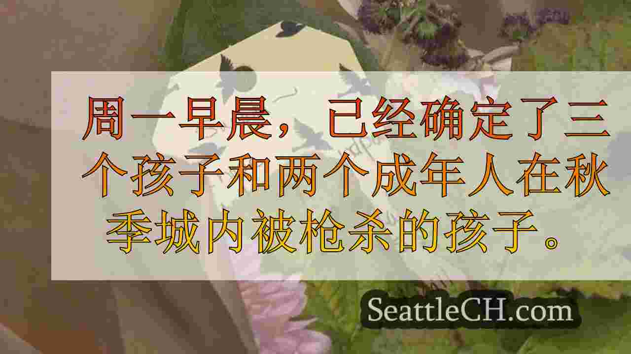 西雅图新闻 SeattleCH