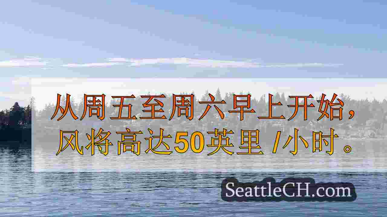 西雅图天气：阵风和大雨即