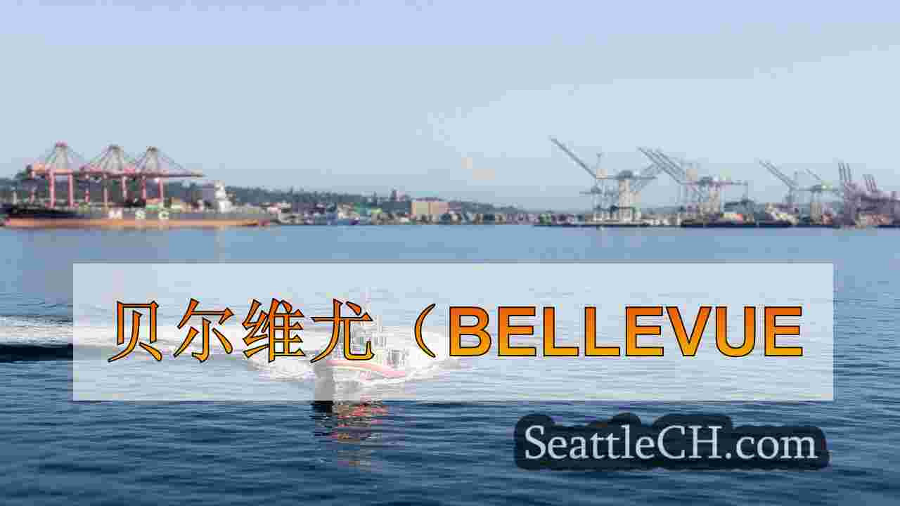 贝尔维尤（Bellevue