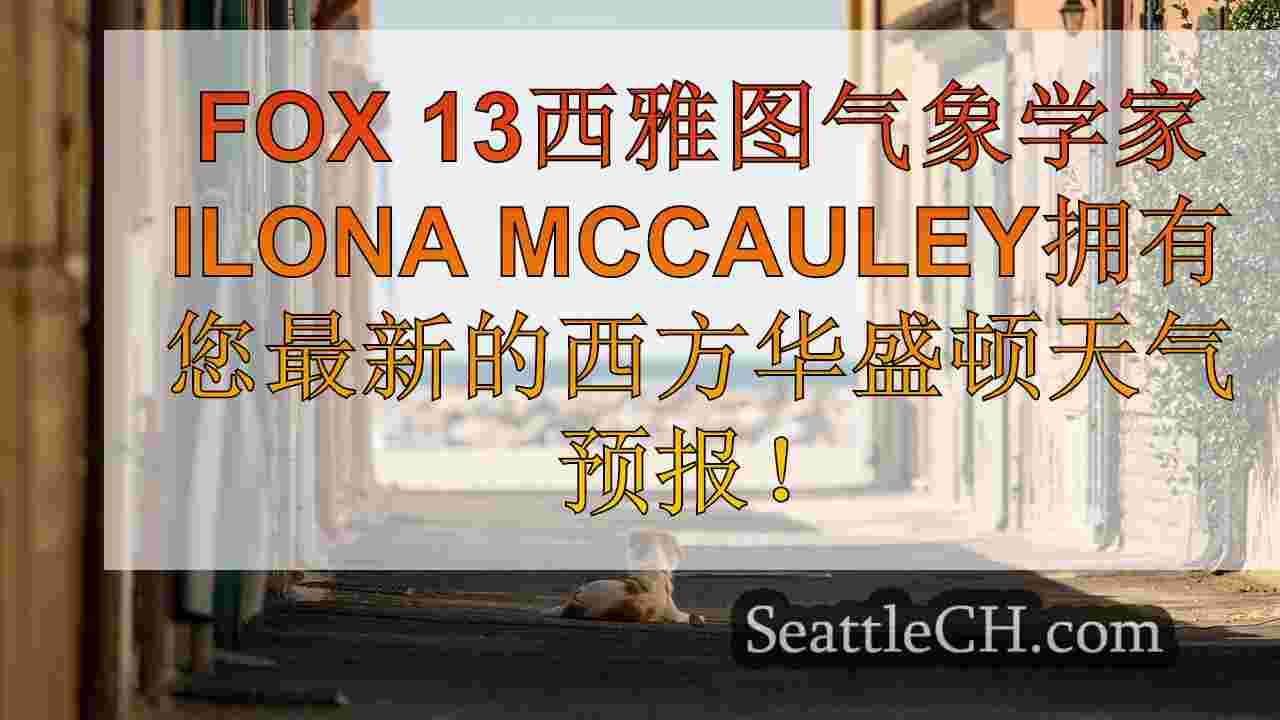 西雅图新闻 SeattleCH