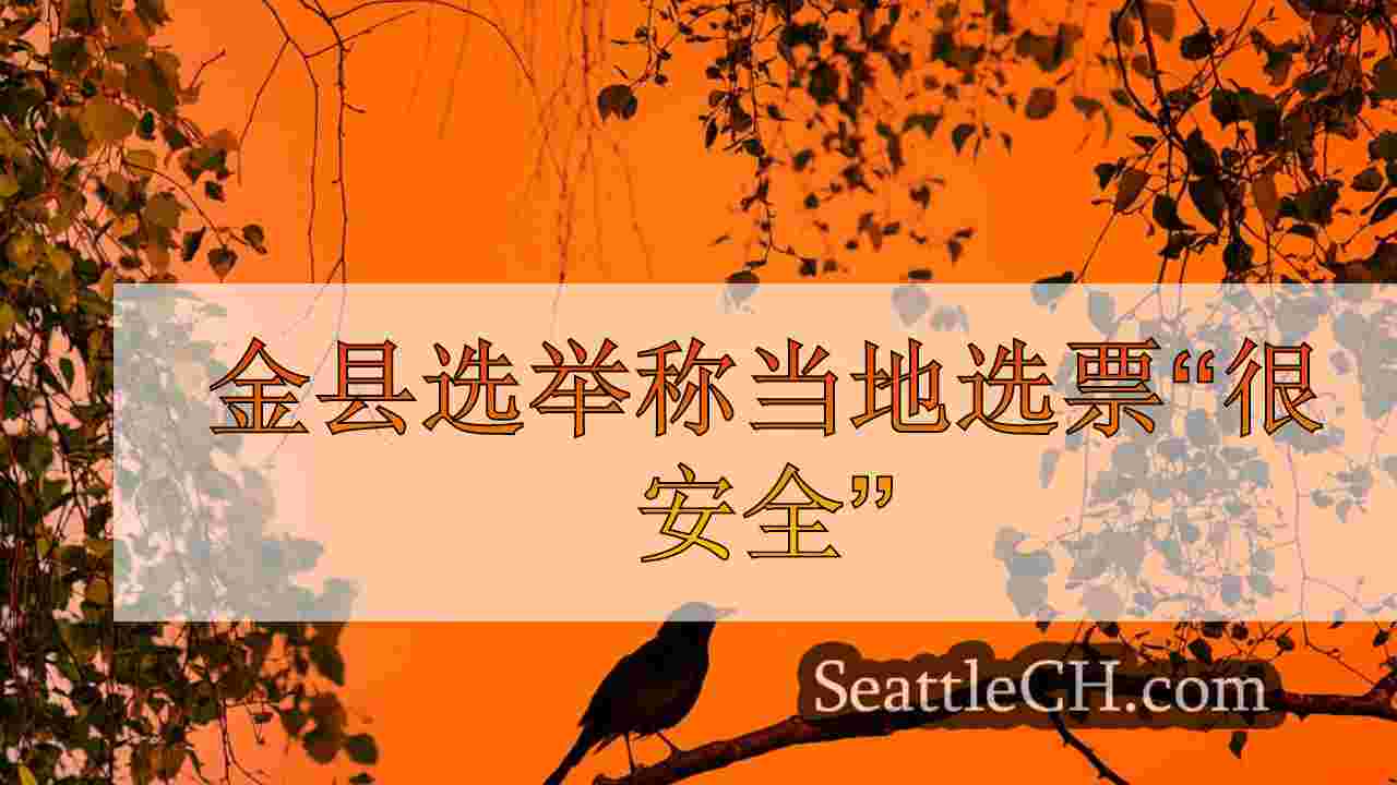 金县选举称当地选票“很安全”
