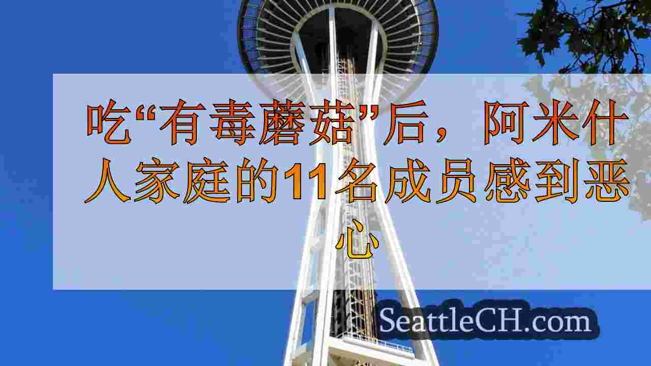 西雅图新闻 SeattleCH