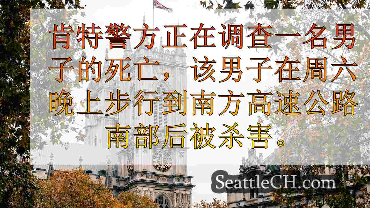 西雅图新闻 SeattleCH