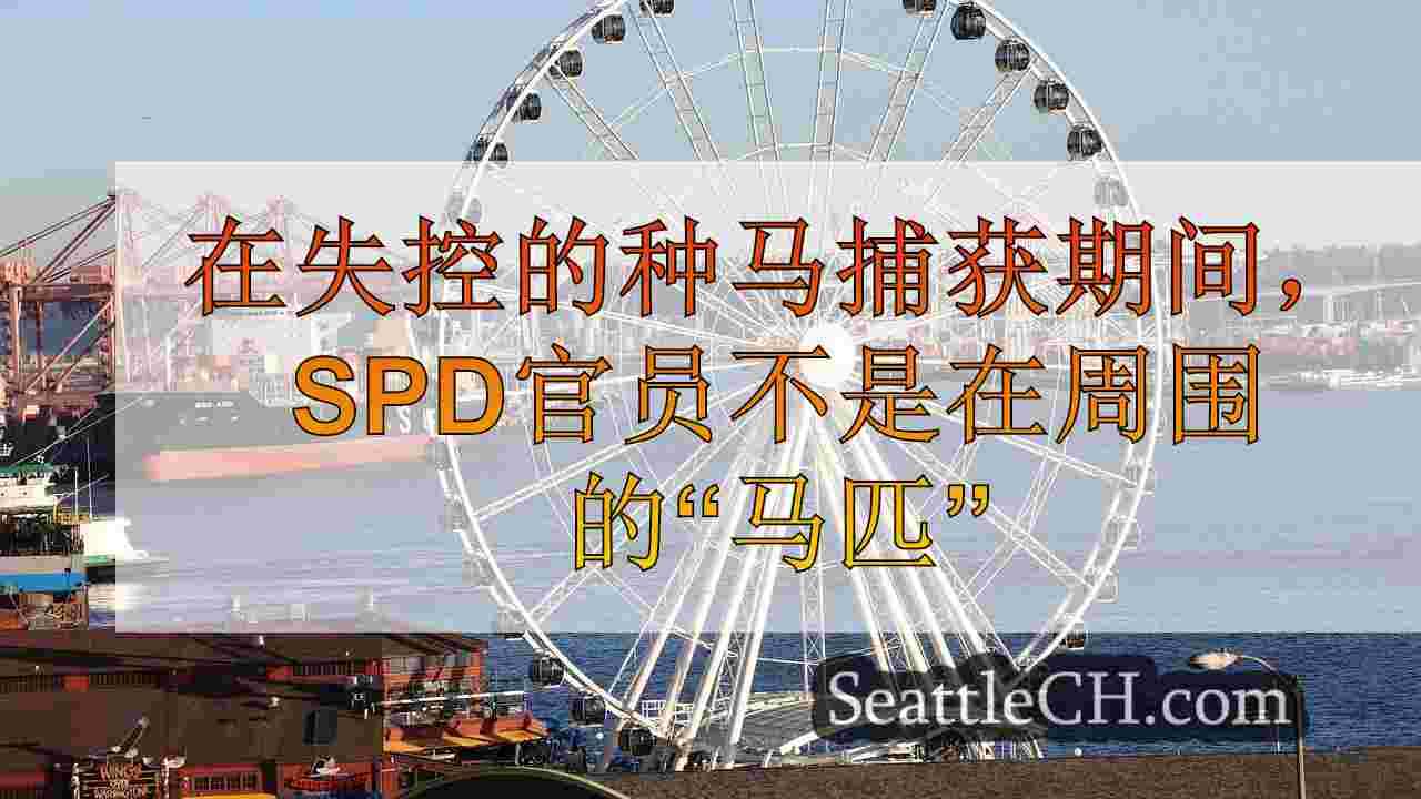 西雅图新闻 SeattleCH