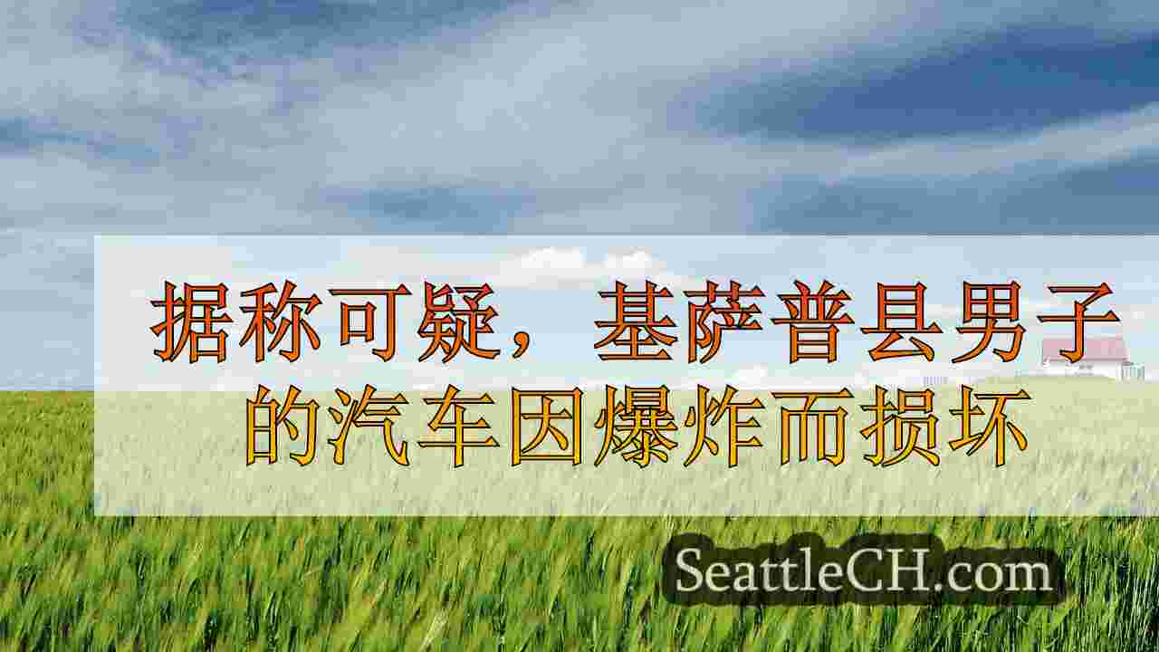 据据称可疑将炸弹置于爆炸之后