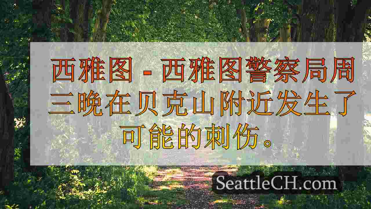 西雅图新闻 SeattleCH